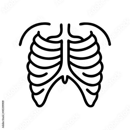 ribs
