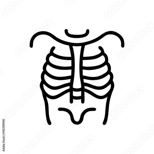 ribs