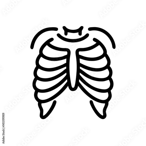 ribs