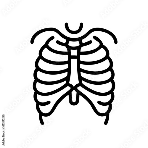 ribs