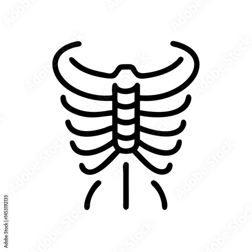ribs