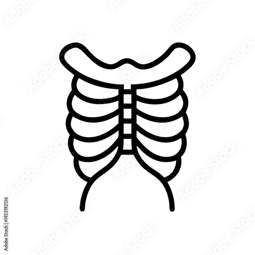 ribs