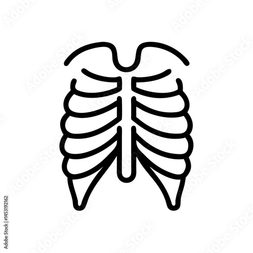 ribs