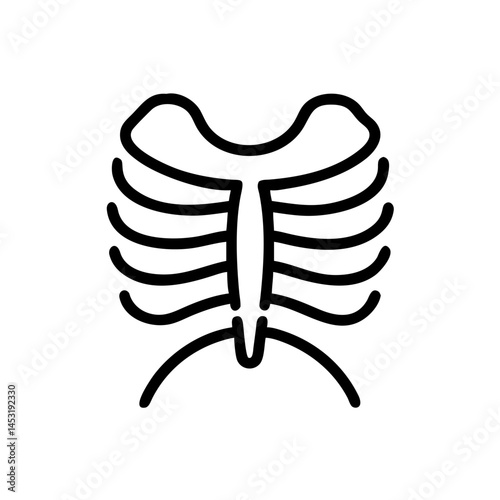 ribs