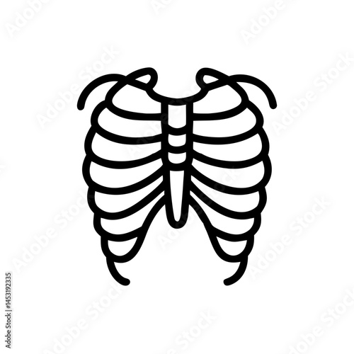 ribs