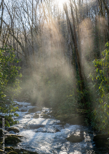 Obraz na płótnie Thin Fog Rising Over Andreas Branch In Great Smoky Mountains w salonie