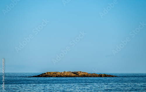Obraz na płótnie Tiny Rock Island Sits in the Atlantic Ocean Off the Coast of Acadia w salonie