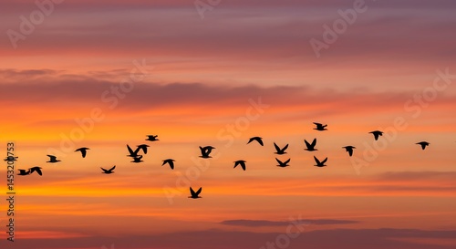 Wallpaper Mural Sunset flight birds silhouette orange sky nature landscape scenic travel photography peaceful tranquil scene Torontodigital.ca