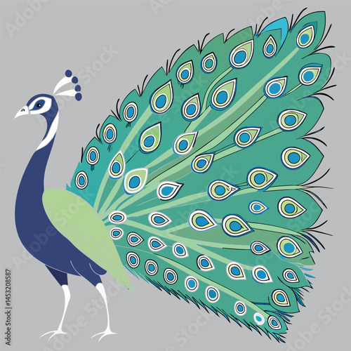 Peacock Line Art with Tail Details Royal Bird Graphic for Posters & Prints