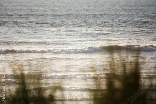 Fototapeta Naklejka Na Ścianę i Meble -  waves seen through flowing bush in wind