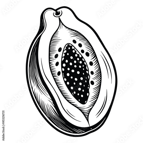 papaya fruit cross section botanical illustration.