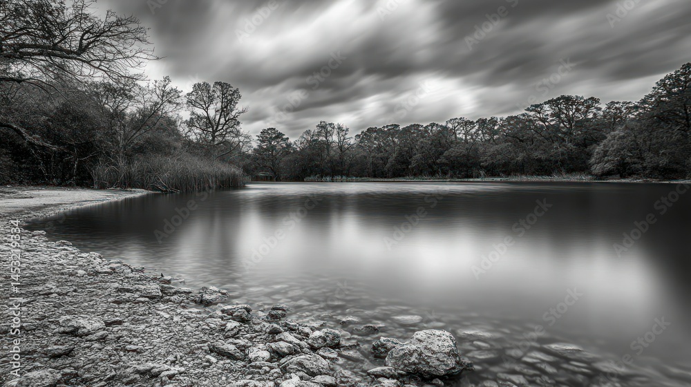 Fototapeta premium Tranquil monochrome image of a lake surrounded by trees