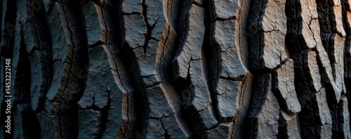 Deeply furrowed, dark gray-brown bark texture, surface, flora
