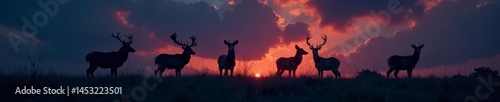 Several dark deer silhouettes in a field, night scene, ranch, farm
