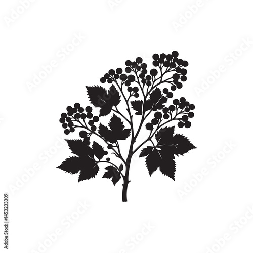 Alder vector (3).eps