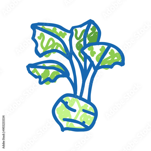 kohlrabi cabbage icon doodle illustration