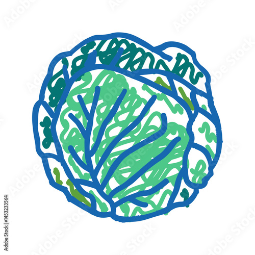 green cabbage icon doodle illustration