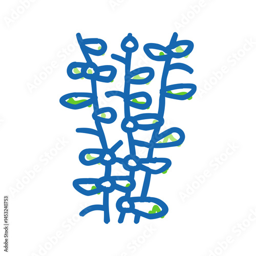 moneywort seaweed icon doodle illustration