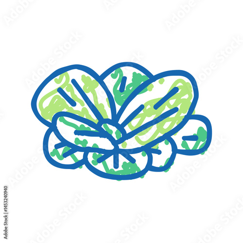 water lettuce icon doodle illustration