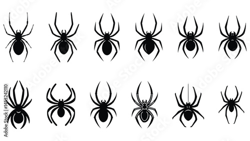 set of black silhouettes of spider vector icon