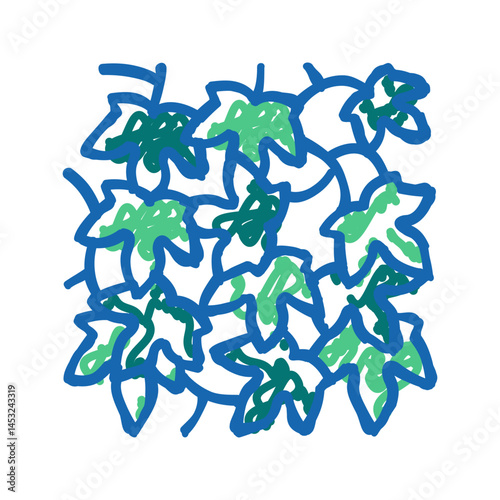 hedera helix icon doodle illustration