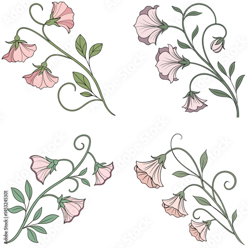 A sweet pea flower icon with delicate, ruffled petals on a climbing 
vine.