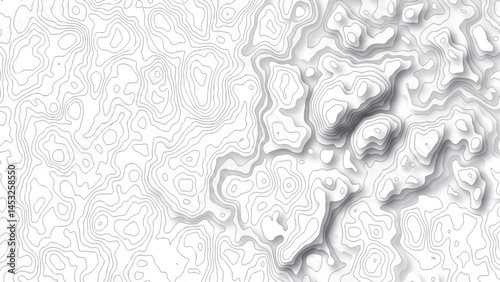 topography white background and black line wireframe isoline location diagram world map texture design .