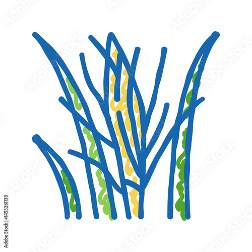 flower coconut coco icon doodle illustration