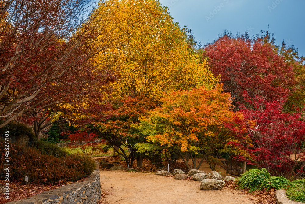 Naklejka premium Mayfield Garden is a botanical garden located in Oberon, Central Plateau region of New South Wales, Australia. 