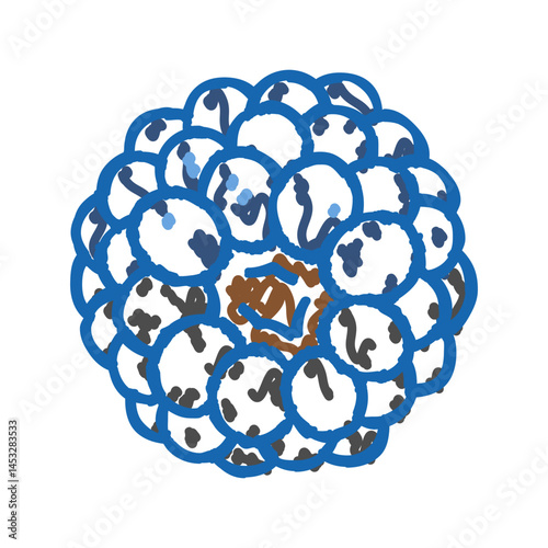 blue blackberry ripe icon doodle illustration