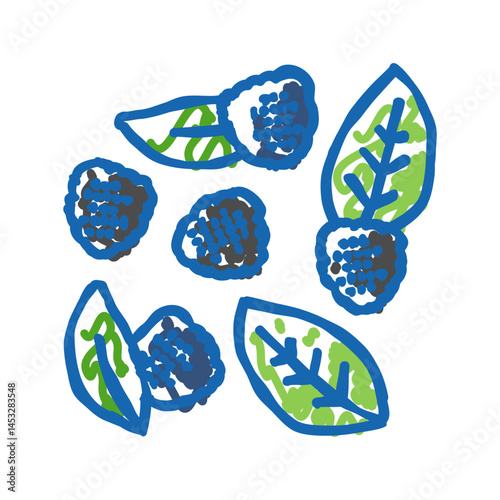 bunch of blackberries ripe leaf icon doodle illustration