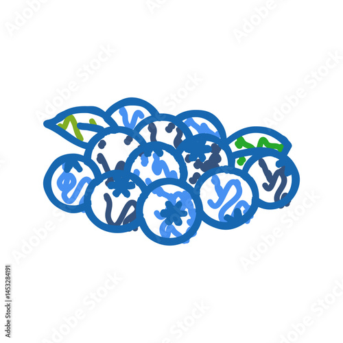 bunch of blueberries leaf icon doodle illustration