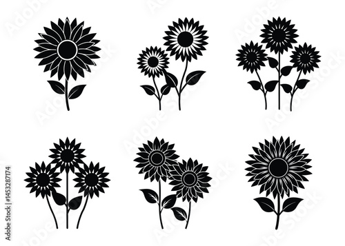 Set of beautiful sunflower, vector illustration. 