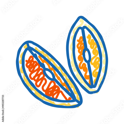 orange fresh cut slice icon doodle illustration