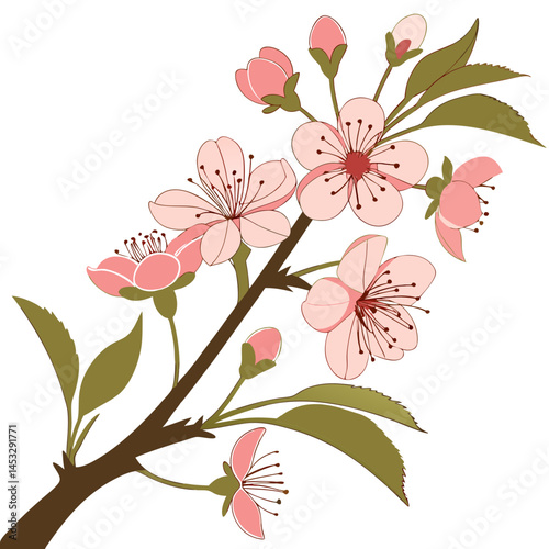 Peach Blossom Branch Vector - Beautiful peach flowers on a branch with leaves, perfect for nature, botanical, and seasonal-themed illustrations