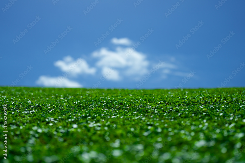 Fototapeta premium Grass background. Green meadow. Summer grassy countryside. Peaceful grass hill. Grass pattern. Summer meadow. Sunny field. Idyllic pasture. Green field texture. Grassy texture. Grass wallpaper.