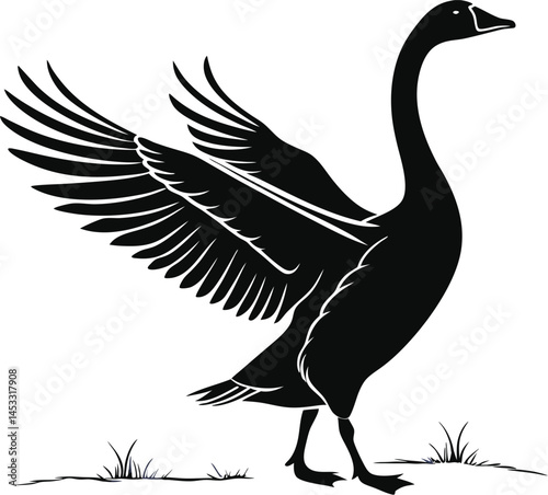 Vector silhouette of goose on a plain white background