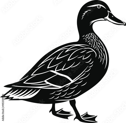 Vector silhouette of duck on a plain white background