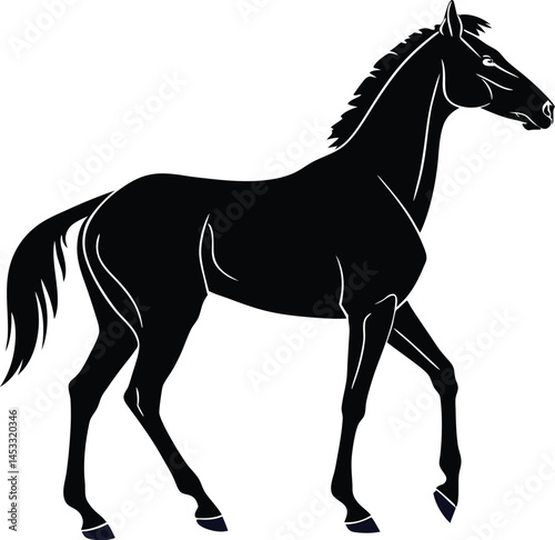 Vector Silhouette of Horse on Plain White Background
