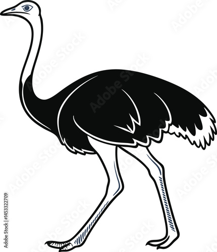 Vector Silhouette of Ostrich on a Plain White Background