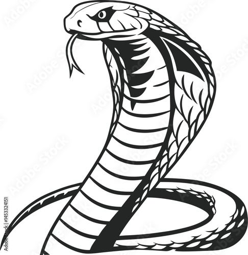 King Cobra Vector Silhouette on White Background
