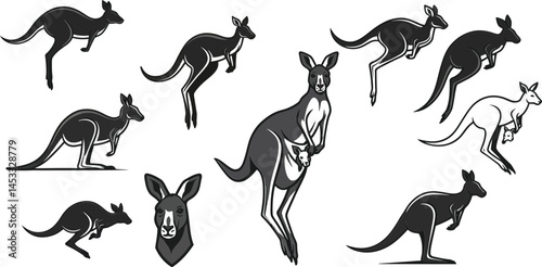 Kangaroo silhouette collection showing different poses and movements in black and white vector illustration  photo