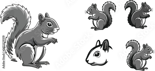 Gray Squirrel Vector Illustration in Various Poses and Head Close-up for Wildlife Design and Nature Themes 