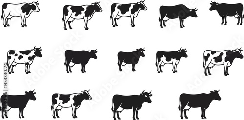 Cow silhouettes in various poses black and white vector collection for farm animal design elements 