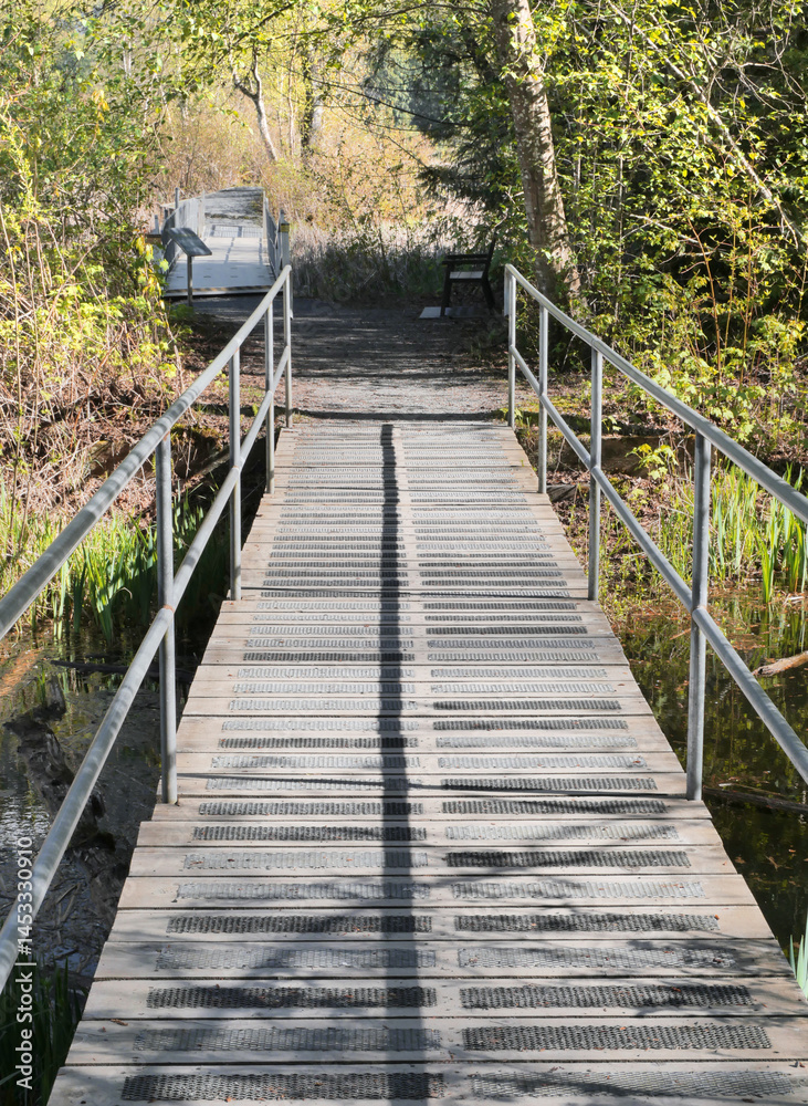 Obraz premium Bridge leading to a lookout at the Cheam Lake Wetlands Regional Park during a spring season in Rosedale, Fraser Valley, British Columbia, Canada