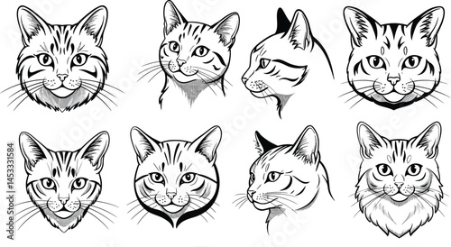 Cat head sketches showing different angles and expressions in black and white line art vector illustration 