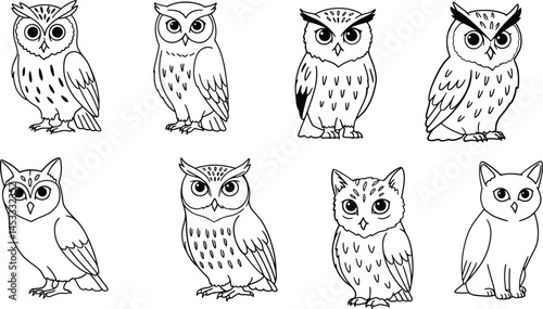 Owl sketches set with various facial expressions and postures in black and white line art style vector illustration 