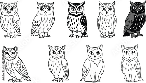 Collection of hand drawn owl illustrations showing different poses and feather patterns for nature and bird-themed projects vector 