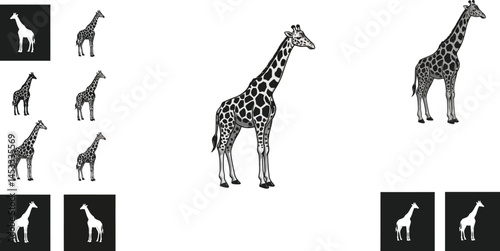Giraffe silhouette collection in various poses and angles for wildlife and animal design elements vector illustration 