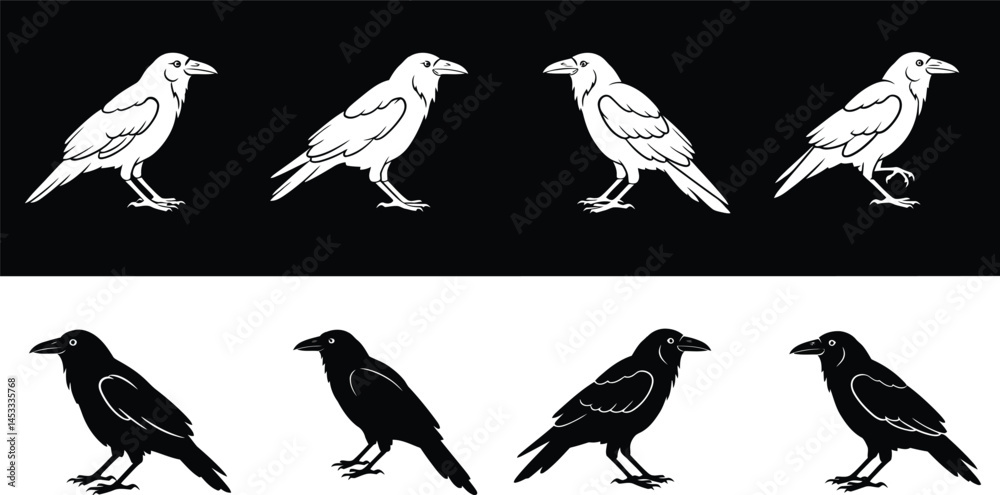Fototapeta premium Raven head profile illustrations black and white bird feathers detailed vector design collection 